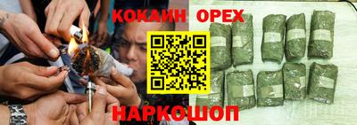 гашик Ливны