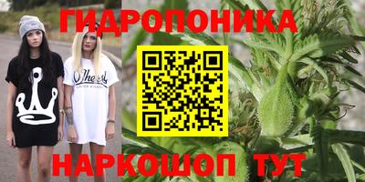 гашик Ливны