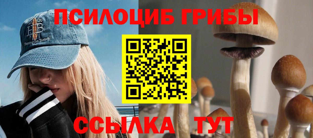 Грязи  как найти   Вход с VPN  Галлюциногенные грибы GOLDEN TEACHER 